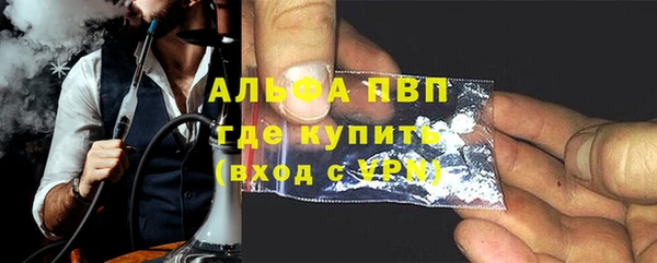 spice Богородицк