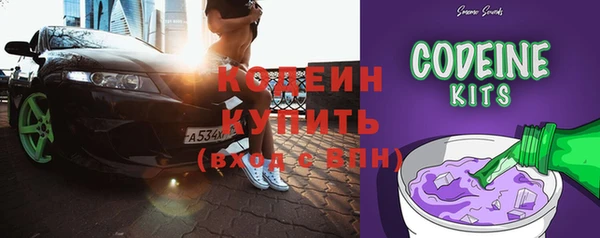 spice Богородицк