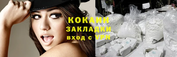 spice Богородицк