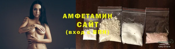 spice Богородицк