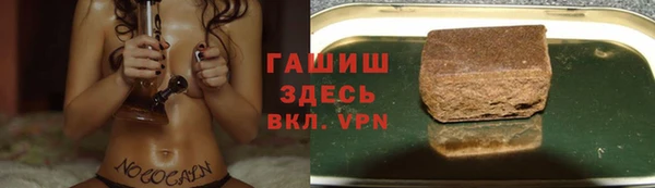 spice Богородицк