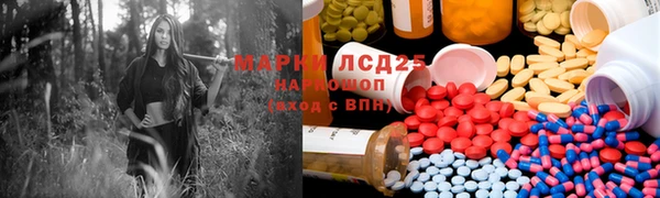 spice Богородицк