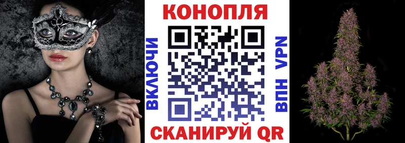 Купить где  Невельск  Бошки Шишки план 